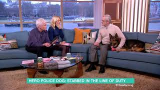 The Hero Police Dog Stabbed in the Line of Duty | This Morning