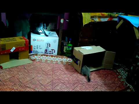 Remember your childhood days folks @dolanaretumidolanandyou5519