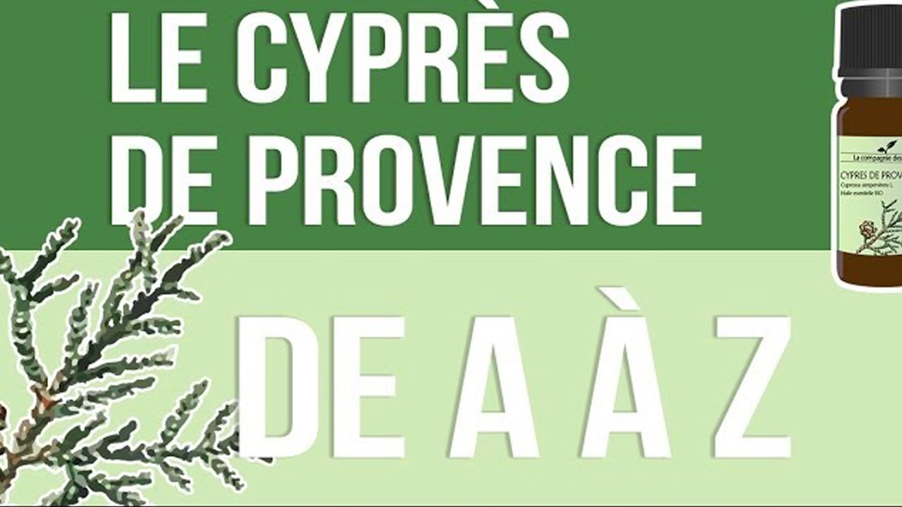 Huile essentielle Cyprès bio - Cy - Distillerie Bleu Provence