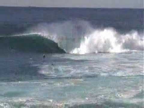 Body Boarding Shark Island