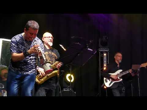 Marek Andrzejewski - Małe skrzydło (Little Wing)