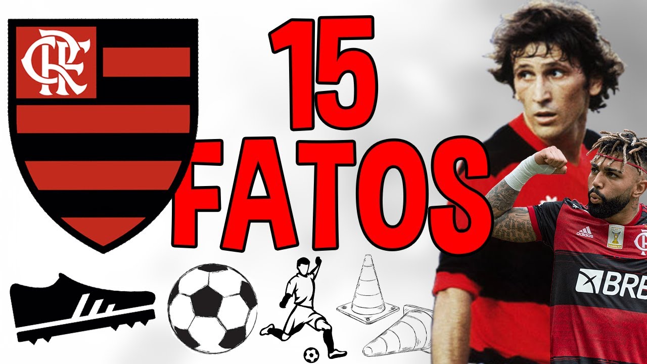 15 FATOS que você NÃO SABIA sobre o FLAMENGO!! (Desenhado!)