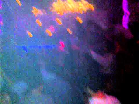 MAX VANGELI @ Maison Mercer August 5th 2011 Toronto