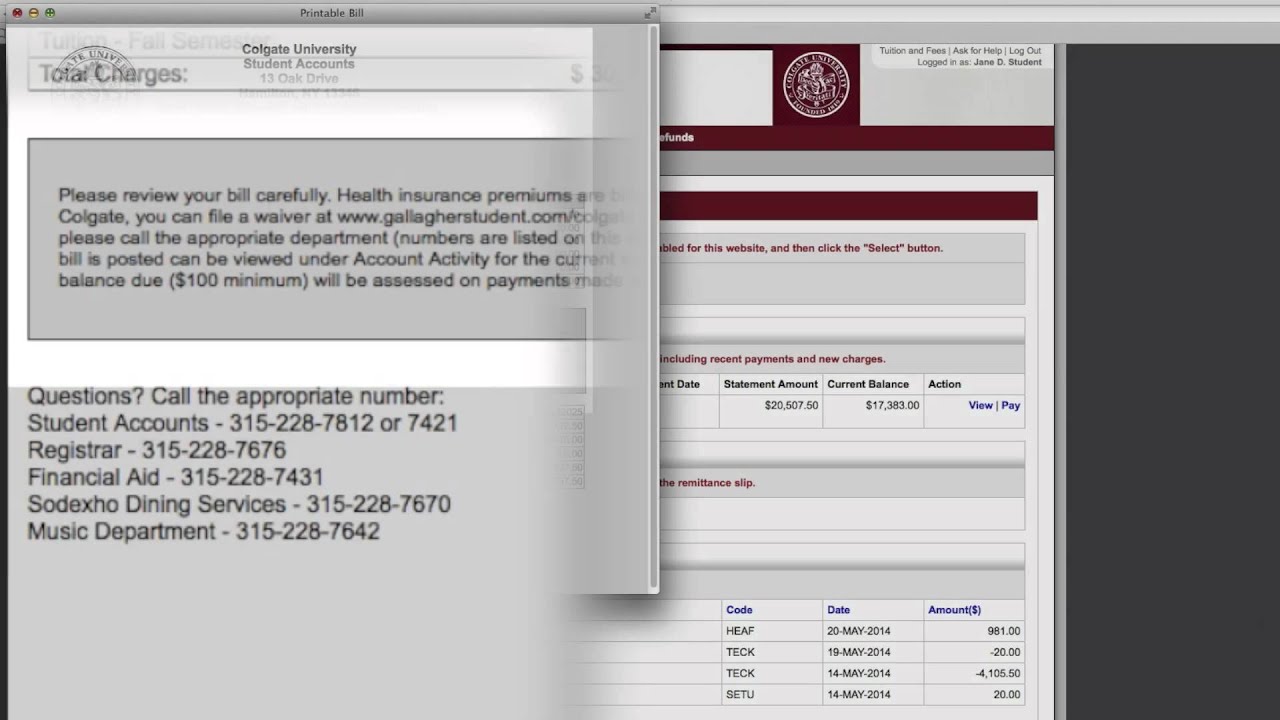 Ep. 2 - Navigating My Electronic Billing Statement (E-Bill Tutorial)