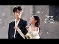 Never Ending Summer FMV