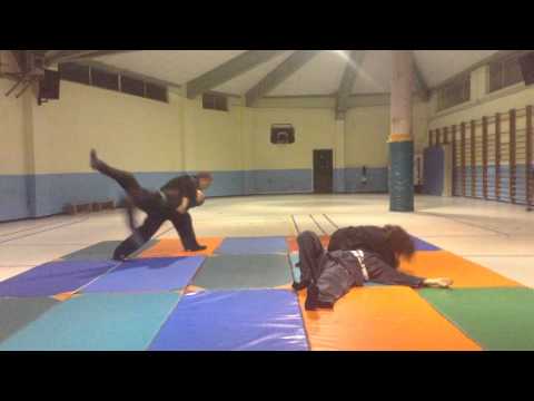 Bujinkan Nage Waza training