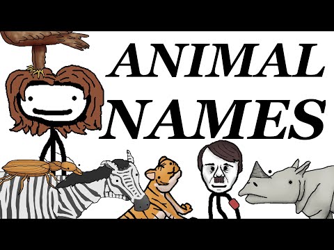 , title : 'Where Animals' Scientific Names Come From'