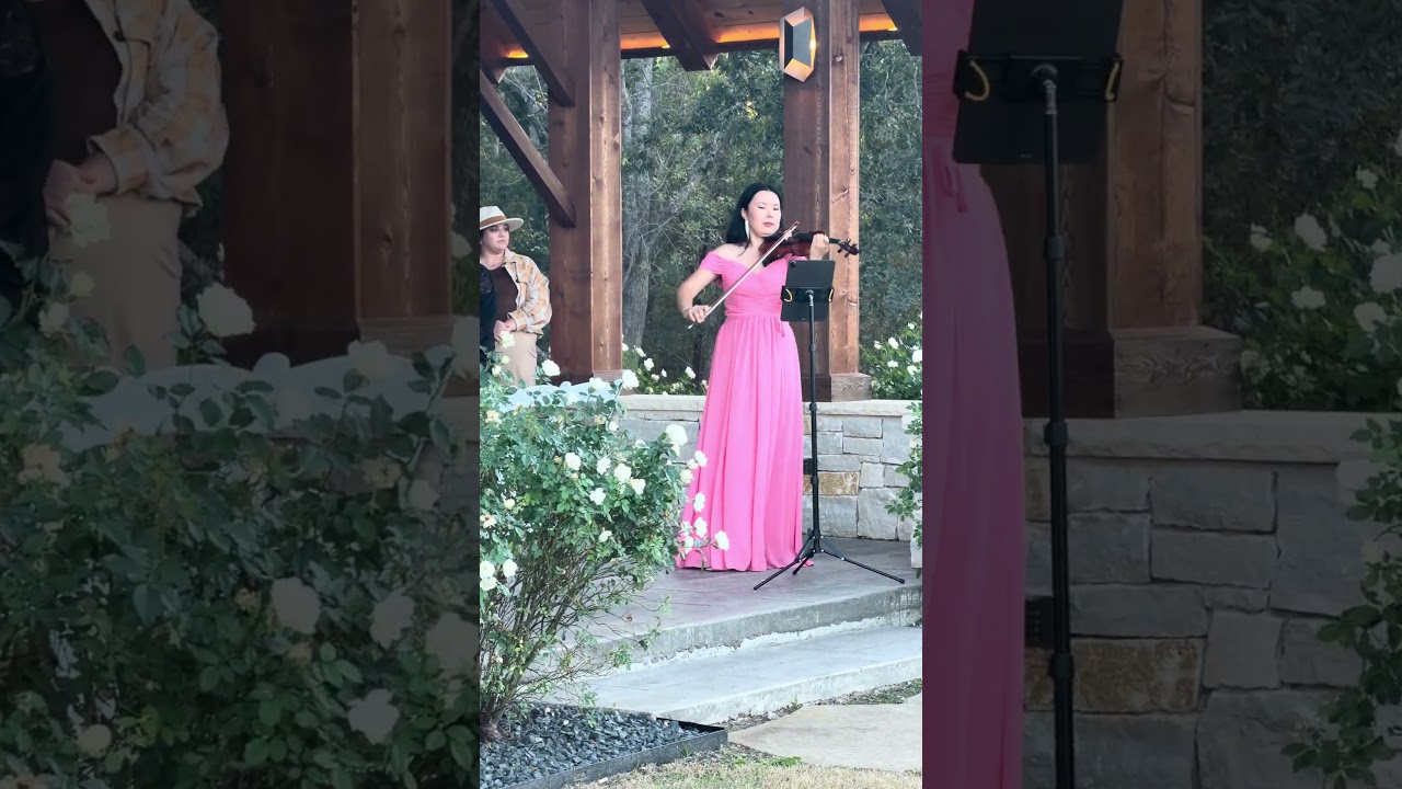 Promotional video thumbnail 5 for Alma Elegance Violin