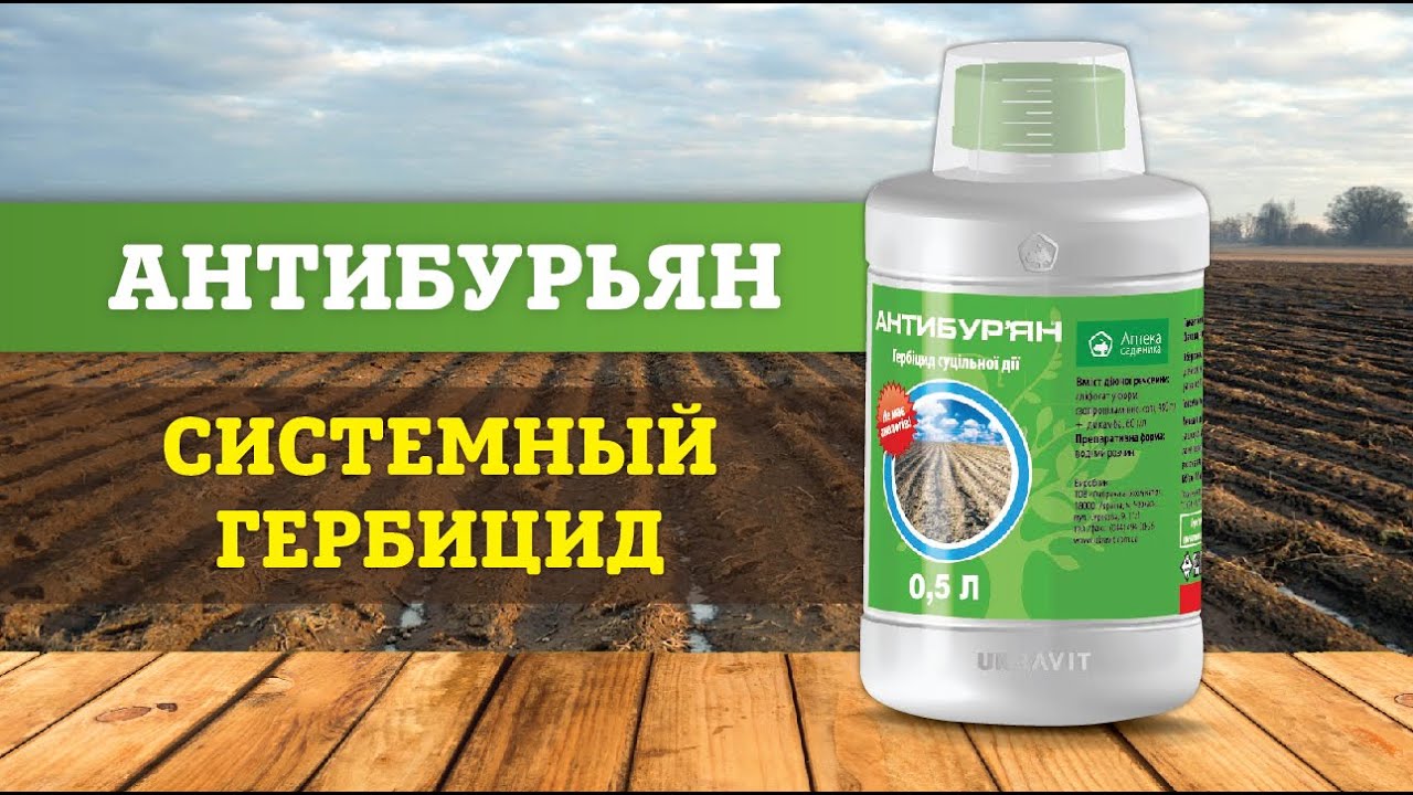 Гербицид Антибурьян 1л