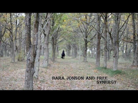 Bara Jonson and Free - Synergy