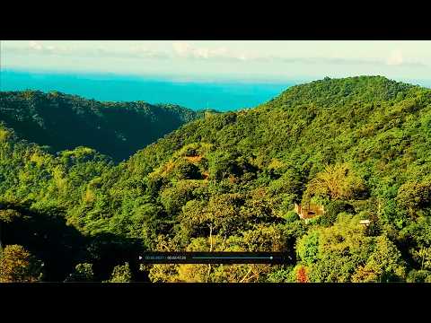 SUPALYNE - Rich Medz (Official Lyrics Visualizer)