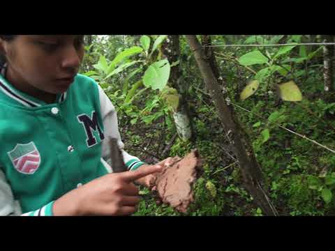 SINTIENTES - Tráiler