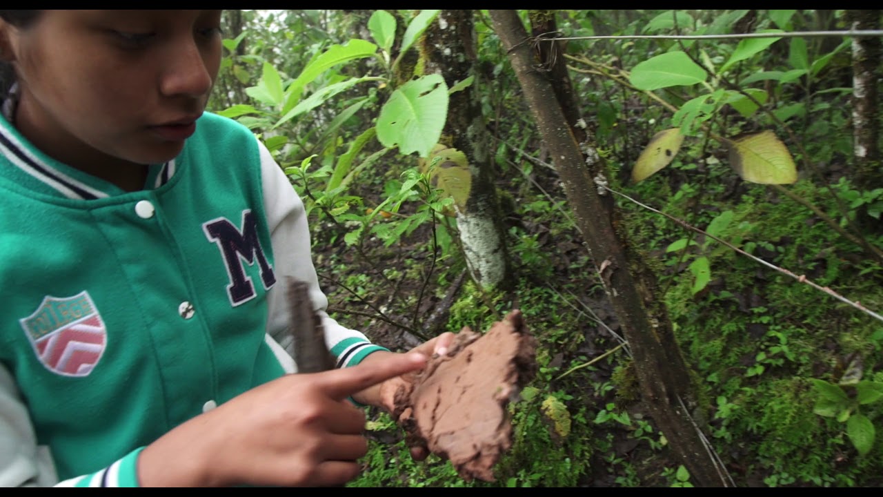 SINTIENTES - Tráiler