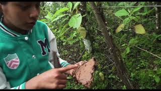 SINTIENTES - Tráiler