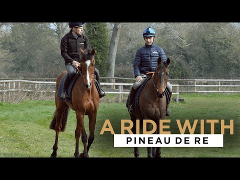 A RIDE WITH... 2014 GRAND NATIONAL WINNER PINEAU DE RE