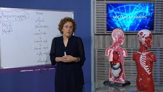 Հանրային դաս. Ես և շրջակա աշխարհը, կենսաբանություն, հասարակագիտություն