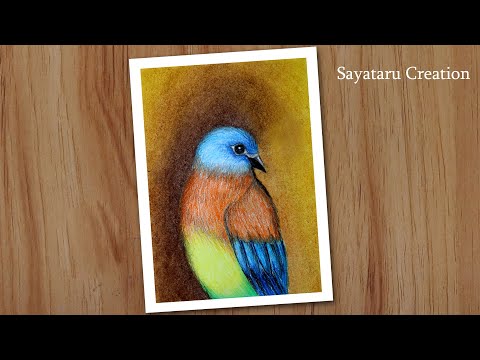 How to draw a bird step by step, Oil pastel drawing for beginners