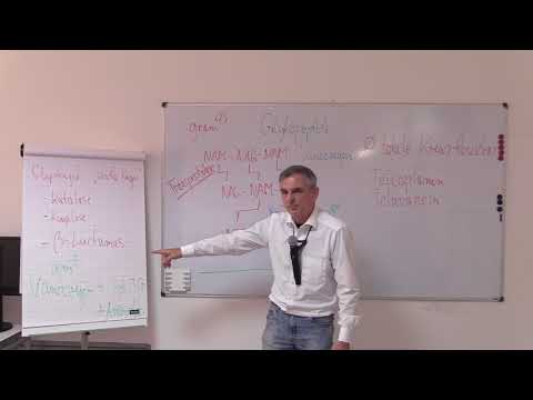 34. Antibiotika, Teil 5 (Carbapeneme, Monobactame, Fosfomycin), NKLM Nr. 16.5.1.6e)