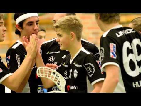 Gott Nytt År önskar Å/K IBS