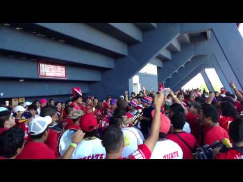 "La Murga del Tiburón en la previa VS Tigres" Barra: Guardia Roja &bull; Club: Tiburones Rojos de Veracruz