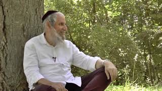 מחפשים את המטמון