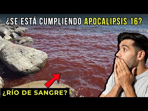 The Sea of Galilee Turns Blood Red – Is Bible Prophecy Being Fulfilled?