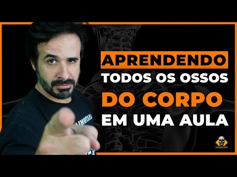 Aprendendo todos os ossos do corpo humano em uma aula