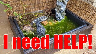 TEAR DOWN or BEAT the ALGAE help me decide...