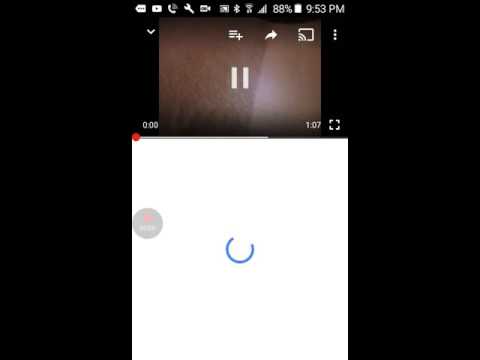 For real? Reaction to talking kitty cat 2 wake up and meet the new dog