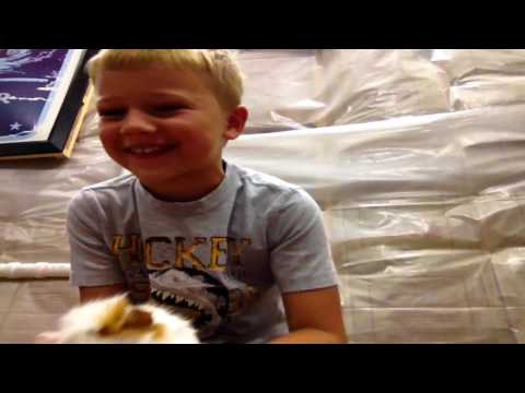 Dance like a Guinea pig