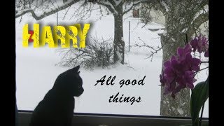 All good things -  Harry (Klaatu)
