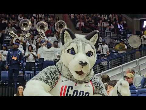 🚨 @JSUBands Sonic Boom steals the show at Jackson State vs UCONN women's basketball game