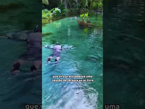 Coisas que você nunca imaginou que acontecem em Bonito