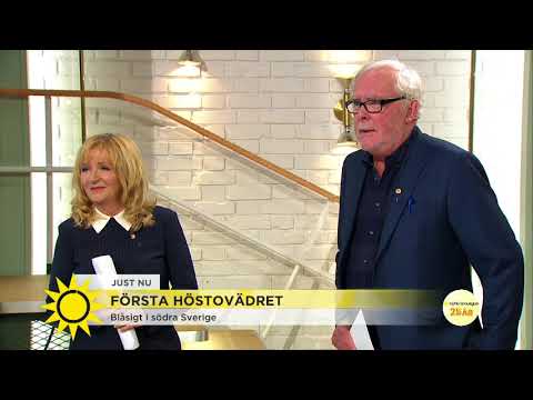 "Första höstaktiva ovädret med stormstyrka i vindbyarna" - Nyhetsmorgon (TV4)