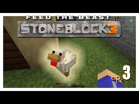 LET'S START CHICKENS! - FTB STONEBLOCK 3