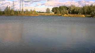 Salt Brothers Bayeswater Carp Lake Swim Review