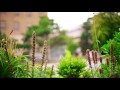 Undercover Boss Sunnybrook Health Sciences Centre S4 E9 Canadian TV Series