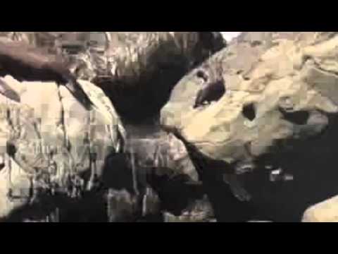 "Exit, stage right!"