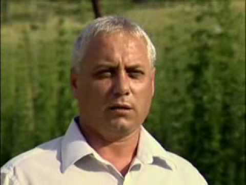 Valorile comunitatii Laslea