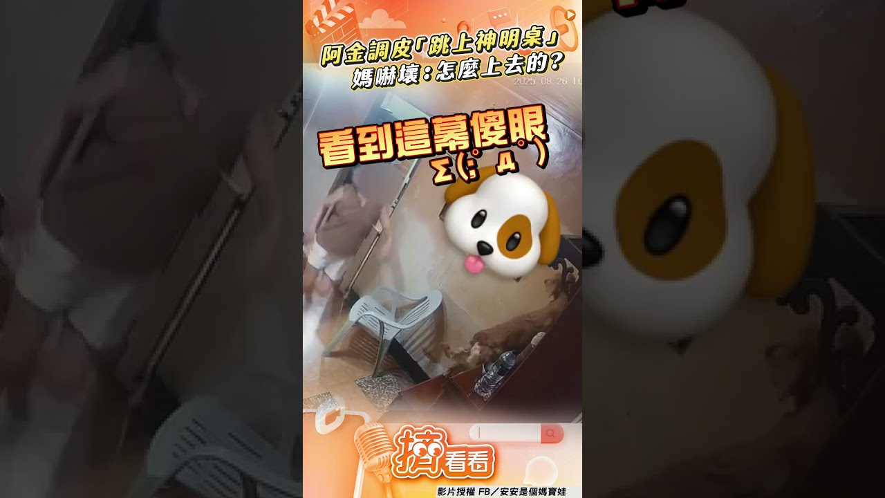 影音/阿金調皮「跳上神明桌」求關注 媽抓包嚇壞:你怎麼上去的?