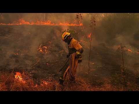 Video Thumbnail: Spain wildfires leave destruction across Ávila province