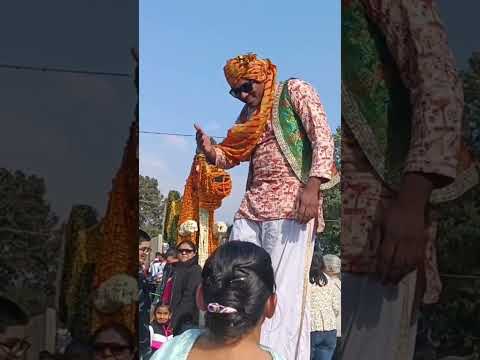 Chandigarh Rose festival 2024#viral #punjabi #youtubeshorts