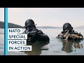 Rare Glimpse Of US Navy Seals And Croatian Special Forces On Joint Exercise