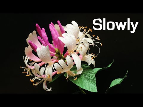 ABC TV | How To Make Honeysuckle Paper Flower From Crepe Paper (Slowly)- Craft Tutorial