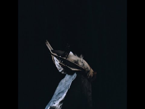 Svreca & Blazej Malinowski - Coincidence