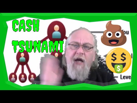 Cash Tsunami Review + Free Alternative
