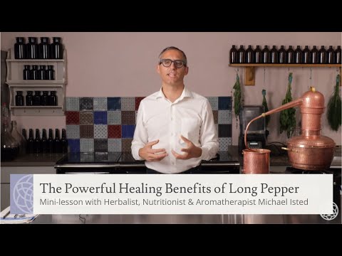 Chavak Extract Powder, Packaging Type: Bag, Packaging Size: 1kg To 25kg