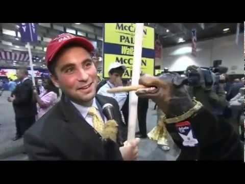 Remote: Triumph the Insult Comic Dog at 2008 Presidential Debate - 10/16/2008