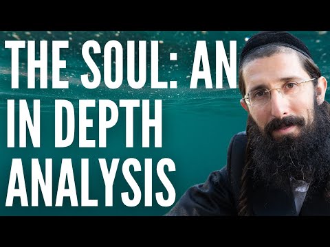 In Depth Analysis of the Animal Soul (Tanya Chapter 6)