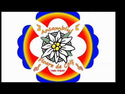 Ansamblul Floare de Colt Vadu Crisului